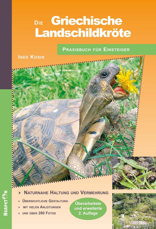 Die Griechische Landschildkröte - Ines Kosin (Buch)