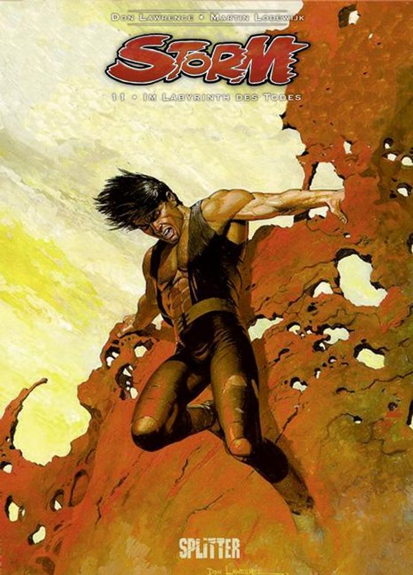 Storm 11. Im Labyrinth des Todes - Don Lawrence (Buch)