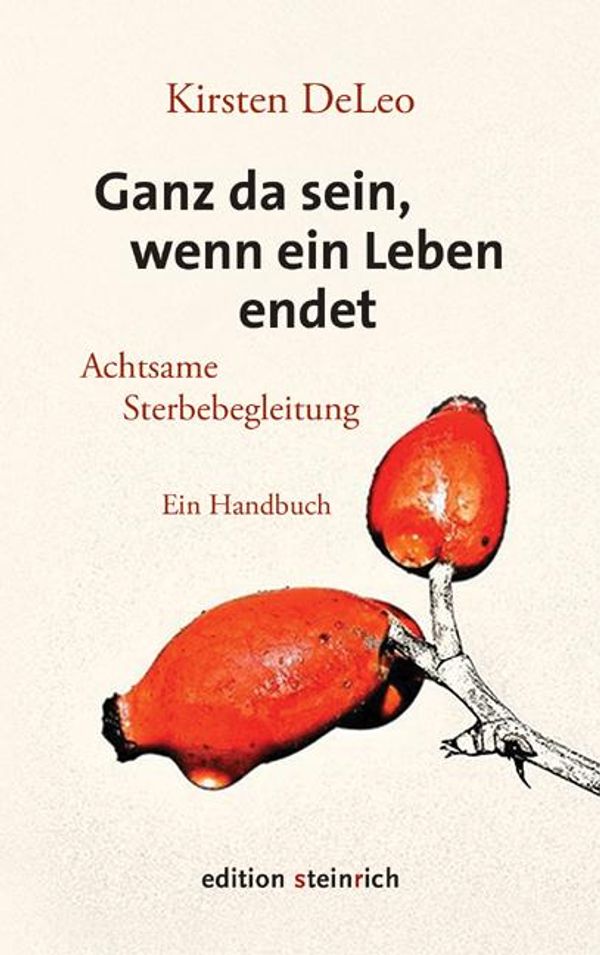 Ganz da sein, wenn ein Leben endet - Kirsten Deleo (Buch)