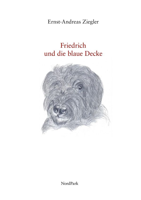 Friedrich und die blaue Decke - Ernst-Andreas Ziegler (Buch)