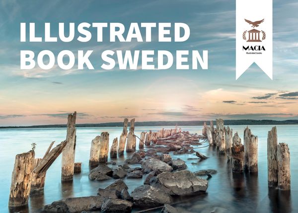 Illustrated book Sweden - Victoria Gallardo (Buch)
