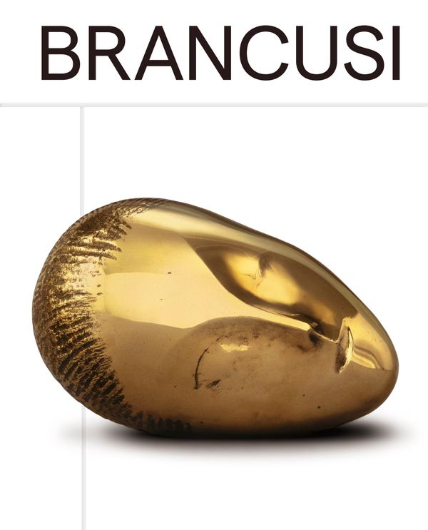 Brancusi - Constantin Brancusi (Buch)