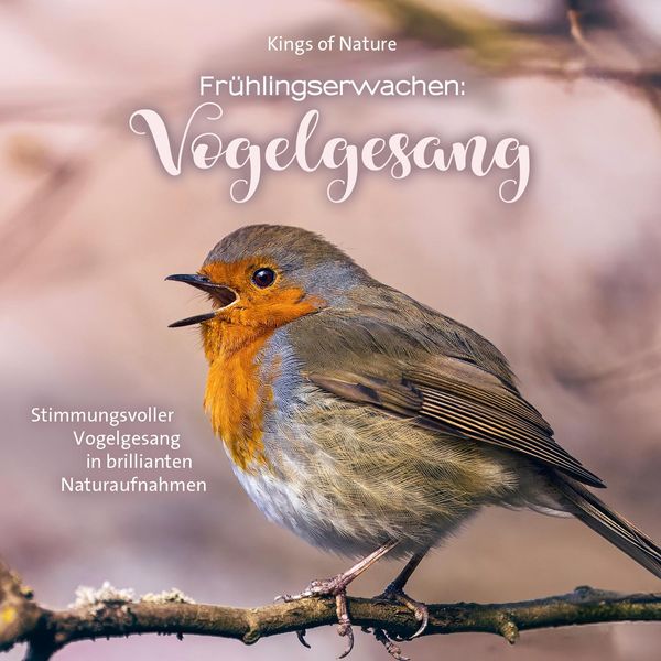 Frühlingserwachen: Vogelgesang (CD)