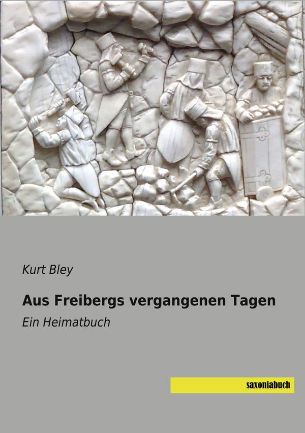 Aus Freibergs vergangenen Tagen - Kurt Bley (Buch)