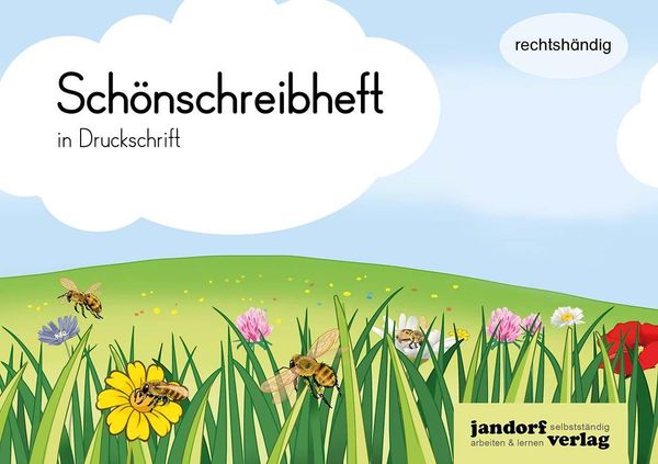 Schönschreibheft in DS - rechtshändig - Anja Wachendorf (Buch)