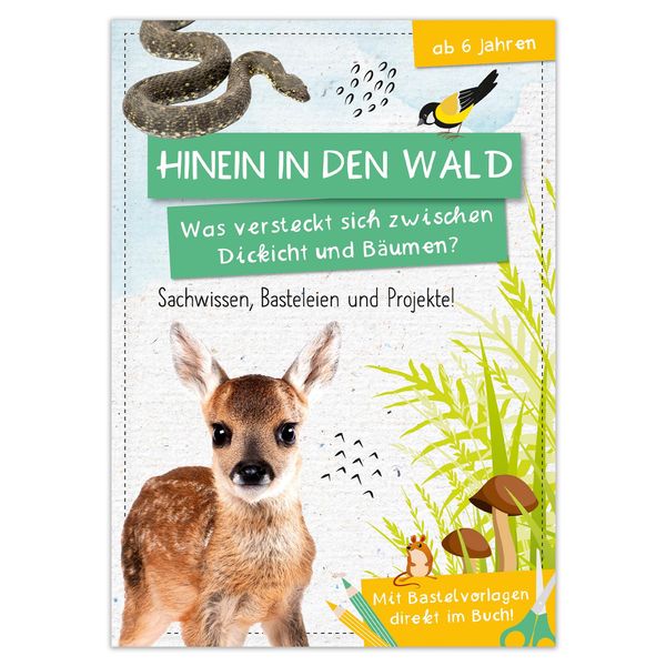 Activity Heft: Hinein in den Wald - Was versteckt sich zwischen Dic...