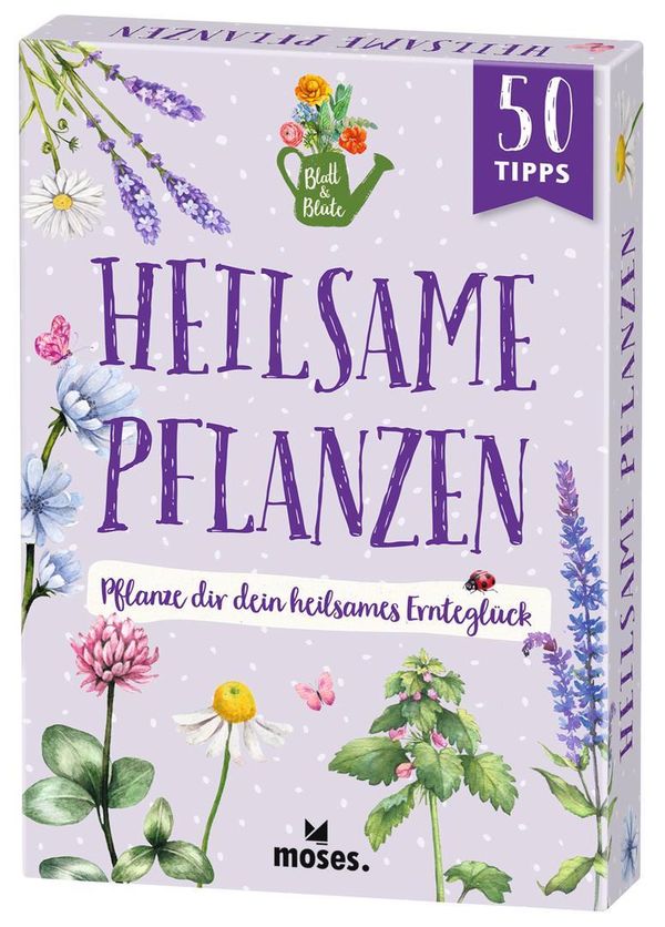 Blatt & Blüte Heilsame Pflanzen - Bärbel Oftring (Buch)