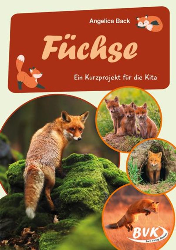 Füchse - Angelica Back (Buch)