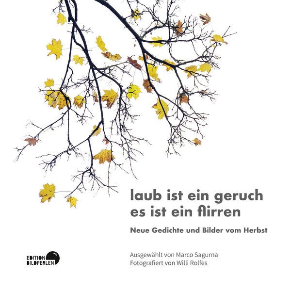 laub ist ein geruch es ist ein flirren - Michael Augustin (Buch)