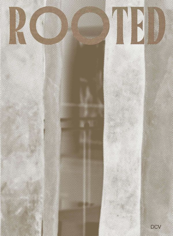 Rooted. Brasilianische Künstlerinnen / Female Brazilian Artists (Buch)