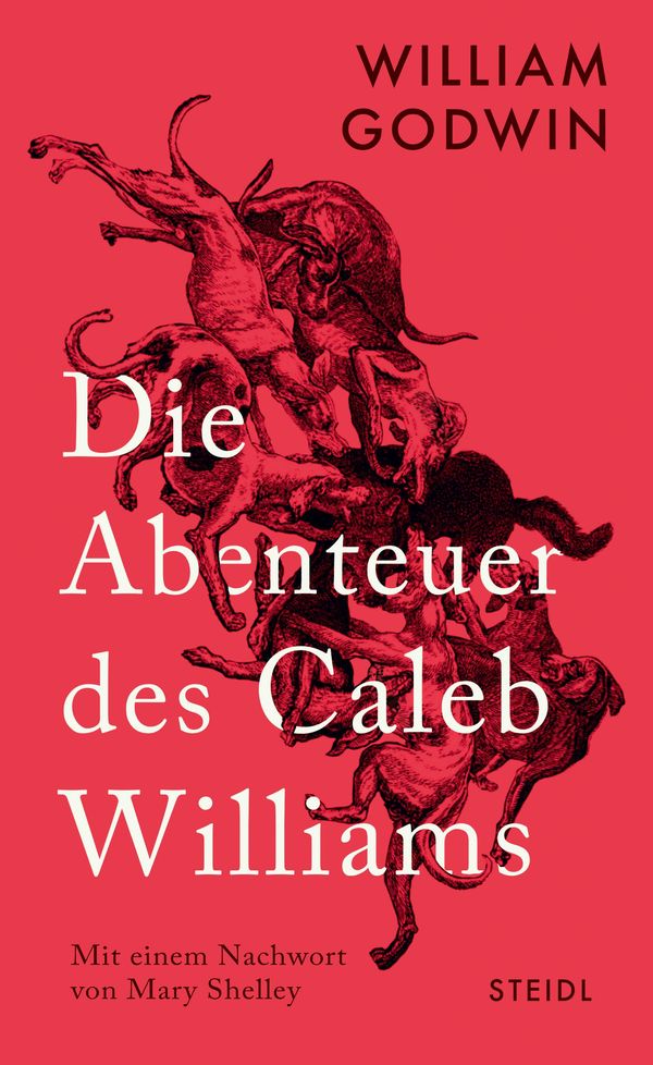 Die Abenteuer des Caleb Williams - William Godwin (Buch)