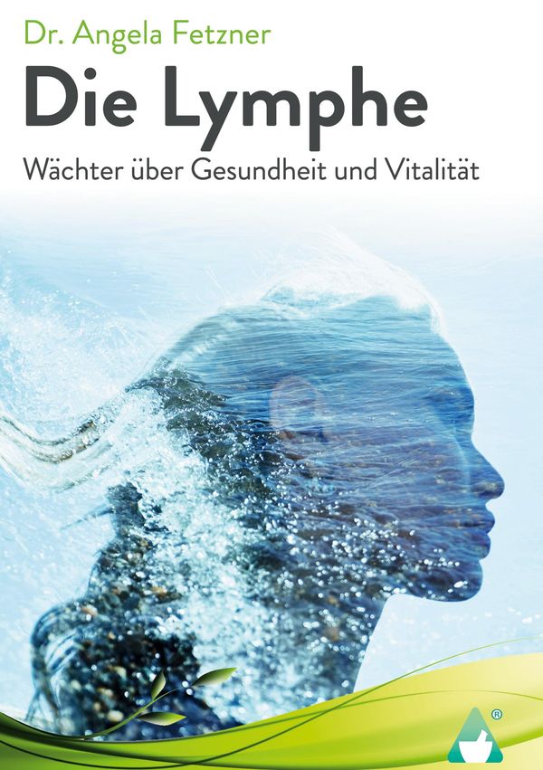 Die Lymphe - Angela Fetzner (Buch)