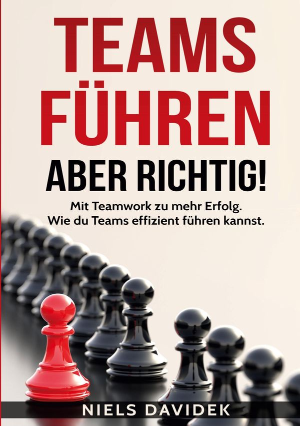 Teams führen - aber richtig! - Niels Davidek (Buch)