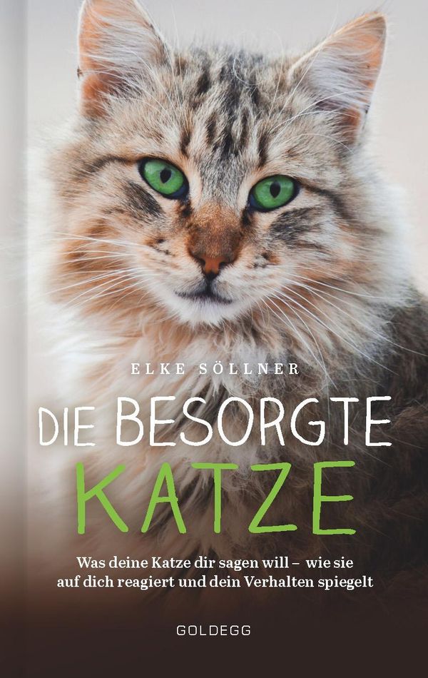 Die besorgte Katze. Was Ihre Katze Ihnen sagen möchte. Warum Schnur...