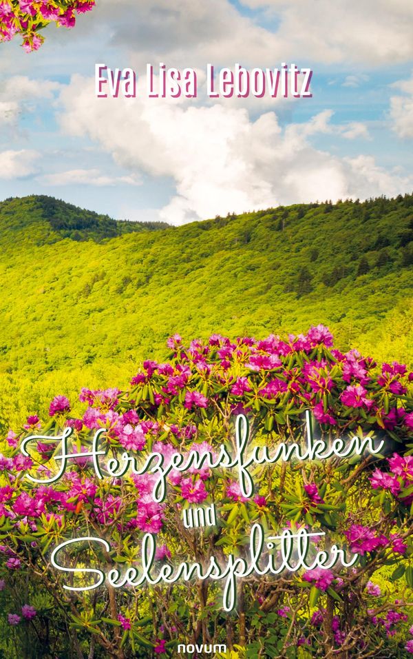 Herzensfunken und Seelensplitter - Eva Lisa Lebovitz (Buch)