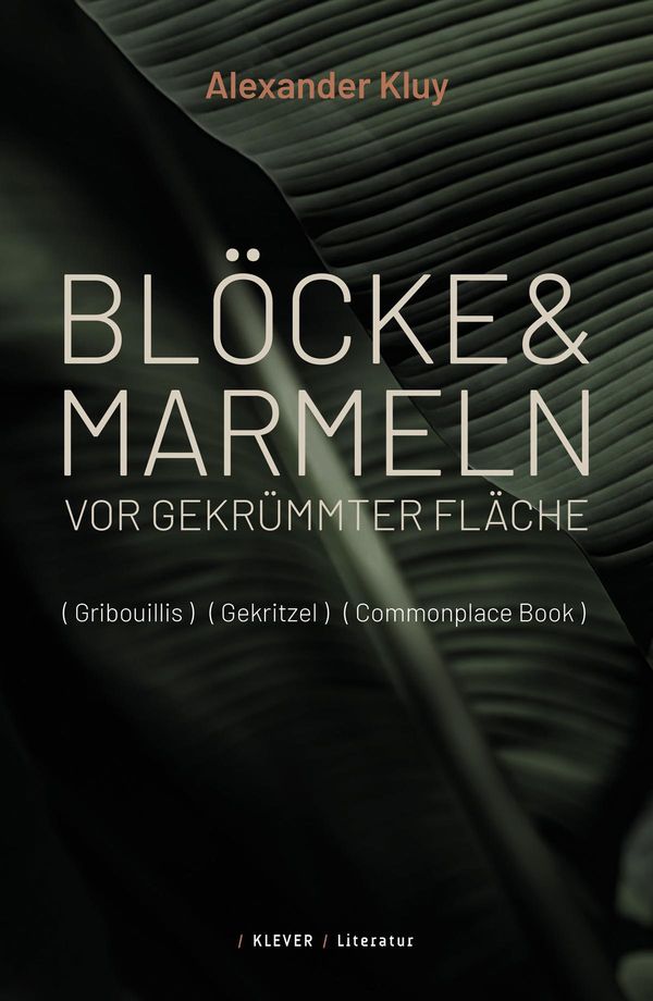 Blöcke und Marmeln vor gekrümmter Fläche - Alexander Kluy (Buch)