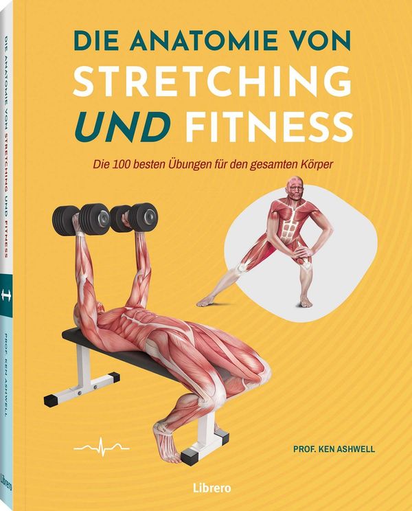Die Anatomie von Stretching und Fitness - Ken Ashwell (Buch)