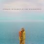 Andrew McMahon: In The Wilderness, LP