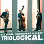 ALLISON, CARDENAS & NASH TRIOLOGICAL. Drei Männer spielen Saxofon, Kontrabass und Gitarre vor einem stilisierten Hintergrund.