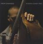 Avishai Cohen (Bass): From Darkness, LP