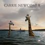 Carrie Newcomer: A Permeable Life, LP