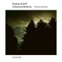Texte: András Schiff, Johannes Brahms, Klavierstücke, ECM New Series.  
Tannen vor einem dunklen, bewölkten Himmel.