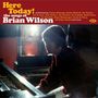 : Here Today! The Songs Of Brian Wilson, CD