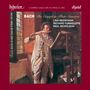 Johann Sebastian Bach: Flötensonaten BWV 1020,1030-1035, CD,CD