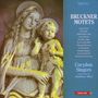 Anton Bruckner: 11 lateinische Motetten, CD