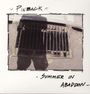 Pinback: Summer In Abaddon, LP