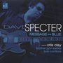 Dave Specter: Message In Blue, LP