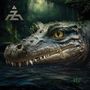 A-Z: A2Z², CD