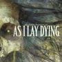 Text: "an ocean between us AS I LAY DYING." Illustration eines Schädels mit abstrakten, verwirbelten Farben im Hintergrund.