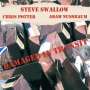 Steve Swallow: Damaged In Transit, CD