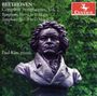 Ludwig van Beethoven (1770-1827): Sämtliche Symphonien (arr.für Klavier) Vol.2, CD