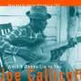 Joe Callicott: Ain't A Gonna Lie To You (180g), LP