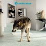 Grinderman: Grinderman 2, LP