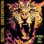 Social Distortion: Born To Kill, CD