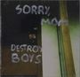 Texte: "SORRY, MOM" oben, "DESTROY BOYS" unten. Düstere, unscharfe Szene mit Fenster und reflexionsähnlichen Lichtern.
