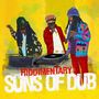 : Riddimentary: Suns Of Dub Selects Greensleeves, CD