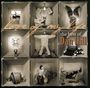 Dan Hill: Love Of My Life - Best Of Dan Hill, CD