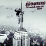 David Bromberg: Wanted Dead Or Alive, CD