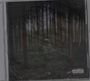 "Parental Advisory Explicit Content" prangt in der Ecke. Eine Person im Hoodie steht in einem dichten Wald.