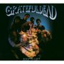 Grateful Dead: Built To Last, CD