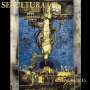 Sepultura: Chaos A.D. (remastered) (180g), LP,LP
