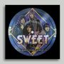 The Sweet: Level Headed Tour Rehearsals 1977 (Picture Disc), LP