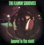 The Flamin' Groovies: Jumpin' In The Night, CD