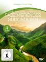: Faszinierendes Südostasien (Fernweh Collection), DVD,DVD,DVD,DVD