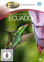 : Ecuador, DVD