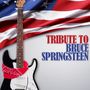 : Bruce Springsteen,Tribute To, CD